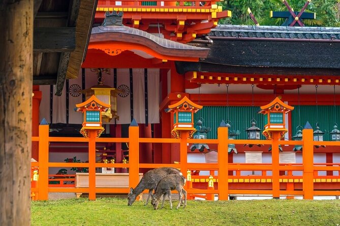 Private Customized 3 Full Days Tour Package: Discover Kyoto, Arashiyama and Nara - How this Kyoto, Arashiyama and Nara route fits together