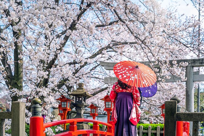 Private Customized 3 Full Days Tour Package: Discover Kyoto, Arashiyama and Nara - Price and what you truly get for $1,480 per group
