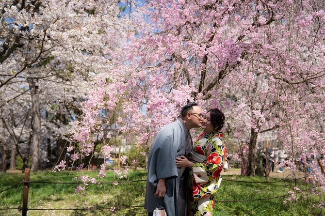 Private Customized Tour with Local Guide In Kyoto - Kyoto in 5 to 6 Hours, With a Private Local Guide
