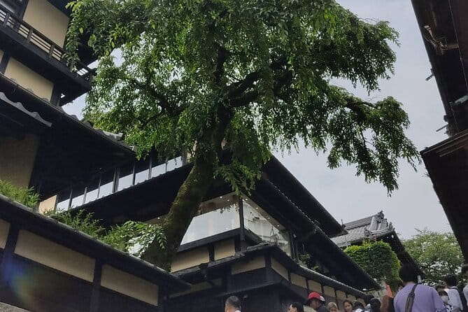 Private Customized Walking Tour in Kyoto - Stop 2: Fushimi Inari-taisha Shrine and the Senbon Torii experience