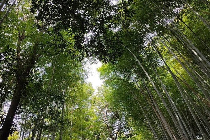 Private Customized Walking Tour in Kyoto - Price and timing: what $130.06 gets you