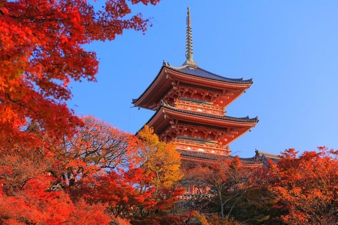 Private Day Tour in Osaka and Kyoto with charter car - Charter Car Convenience: What you gain by skipping the transit scramble