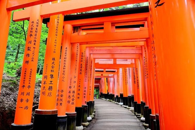 Private Day Tour in Osaka and Kyoto with charter car - Comfort, timing, and practical tips that make the day smoother