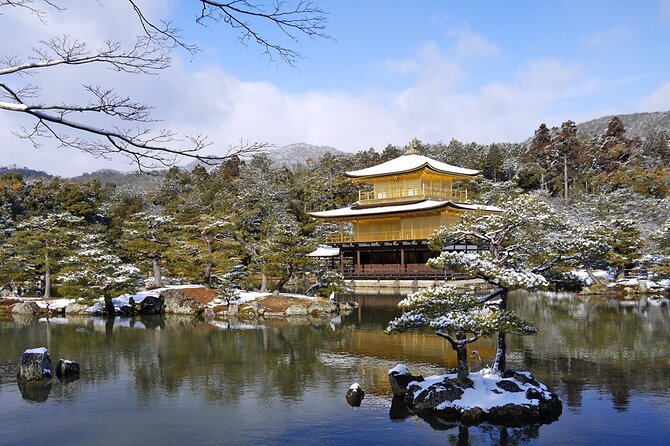 Private Day Tour in Osaka and Kyoto with charter car - The guide experience: What “good care” looks like on a private day
