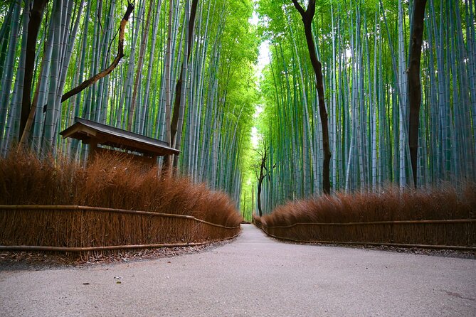 Private Day Tour - Kyoto Arashiyama & Bamboo Forest Perfect Tour! - Key highlights worth getting excited about