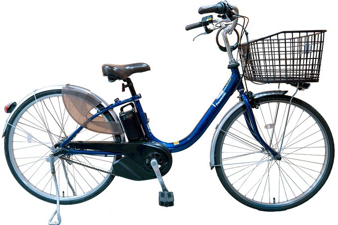 Private eBike Tour Exploring Fushimi with Torii Red Gate Ride - Price and what makes $111.05 feel fair for this mix