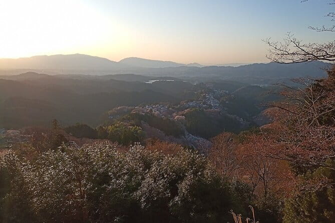 Private Guided Half-Day Walking Tour in Yoshinoyama - Key things to know before you go