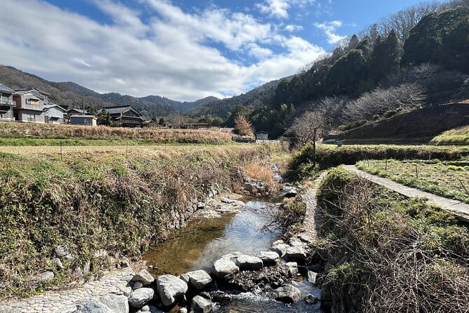 Private Guided Half-Day Walking Tour in Yoshinoyama - The Kami-senbon sakura grove: what you’re really hiking for