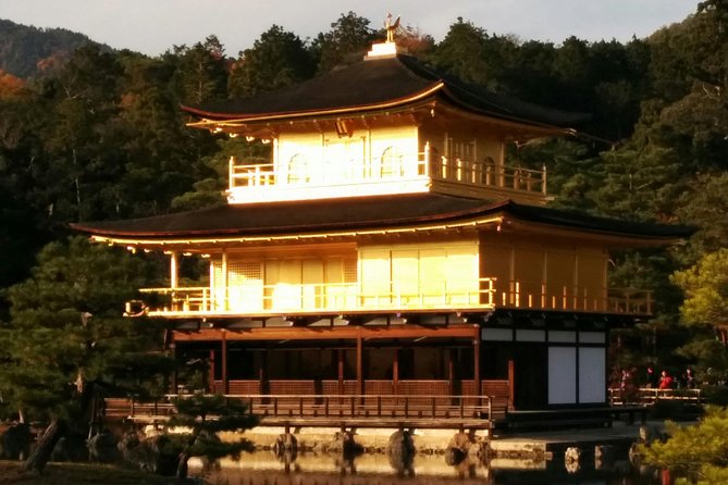 Private Highlights of Kyoto Tour - What a private Kyoto highlights day really solves