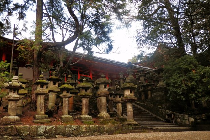 Private Journey in Nara’s Historical Wonder - Kasuga Taisha: lanterns that change the mood