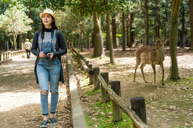 Private Journey in Nara’s Historical Wonder - Horyu-ji: UNESCO wooden time travel