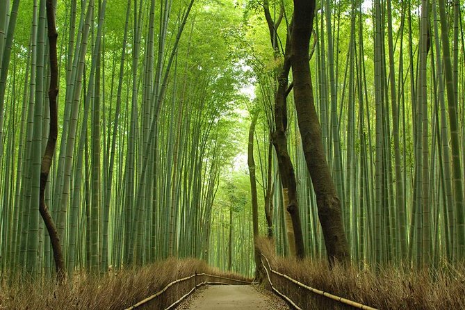 Private Kyoto Arashiyama Custom Half-Day Tour by Chartered Vehicle - Tenryu-ji: a UNESCO stop that stays human-sized