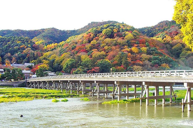 Private Kyoto Arashiyama Custom Half-Day Tour by Chartered Vehicle - Customizing beyond the core stops