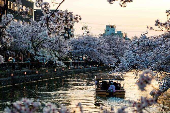 Private Kyoto Customizable Day Tour with English Speaking Driver - Arashiyama Bamboo Grove: Where Your Morning Pace Matters