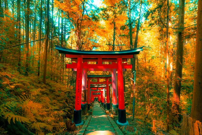 Private Kyoto Customizable Day Tour with Guide and Vehicle - Why this private Kyoto day feels easier than doing it alone
