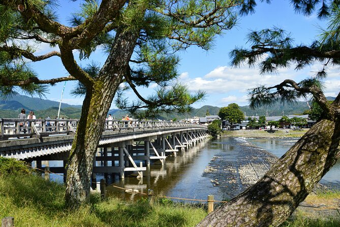 Private Kyoto Customizable Day Tour with Guide and Vehicle - Gion: geisha district scenery with a calm, respectful pace