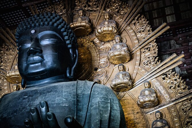 Private Kyoto Tour by Car with Optional Nara or Osaka Add-Ons - Nara Add-On: Deer Park, Todai-ji, and the Quiet Kasuga Shrine Path