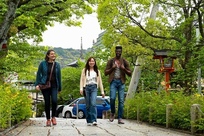 Private Kyoto Tour with a Local, Highlights & Hidden Gems, Personalised - Kiyomizu-dera and the Otowa Waterfall Views From the Wooden Stage