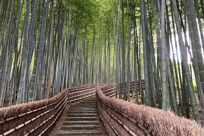 Private Kyoto with Exceptional Guide Tailored to Your Needs - Choosing 4 Hours or 8 Hours in Kyoto