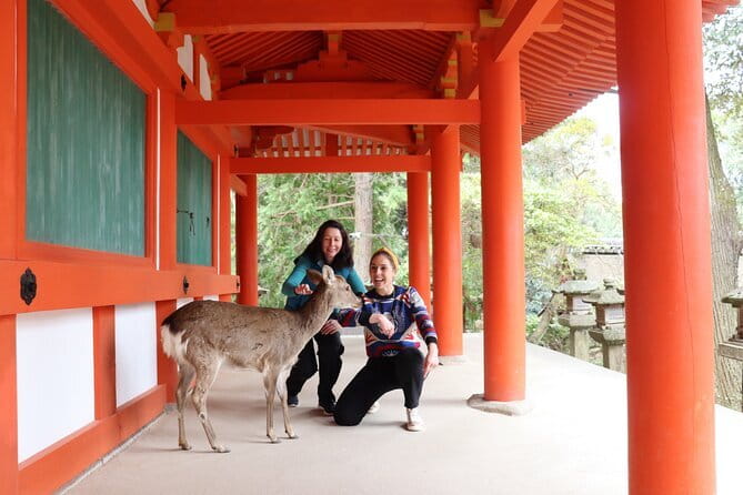 Private Nara Tour and Sake Tasting (Departing from Kyoto/Nara) - Key highlights to watch for