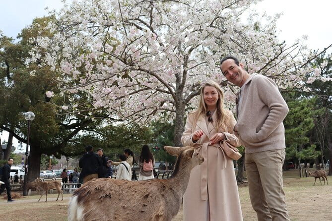 Private Nara Tour and Sake Tasting (Departing from Kyoto/Nara) - Private Nara at a human pace, starting at Kintetsu-Nara
