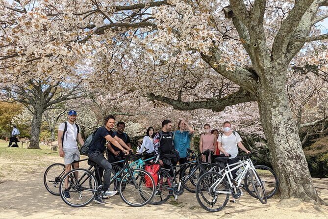 Private Nara Tour and Sake Tasting (Departing from Kyoto/Nara) - Tamukeyama Hachimangu and Kasuga Taisha: shrines, lanterns, and a slower vibe