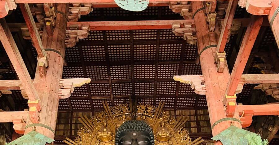 Private Nara Tour from Osaka – Meet at Your Hotel - Nara Park Deer Feeding, Sacred and Surprisingly Fun