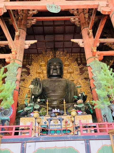 Private Nara Tour from Osaka – Meet at Your Hotel - Price and Logistics, Is $514 Worth It?