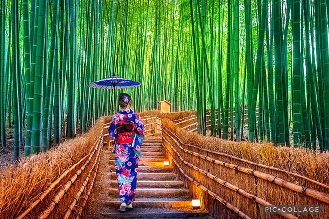 Private Tour Kyoto-Nara w/Hotel Pick Up & Drop off from Kyoto - Why a private Kyoto-Nara day starts at 8:30am