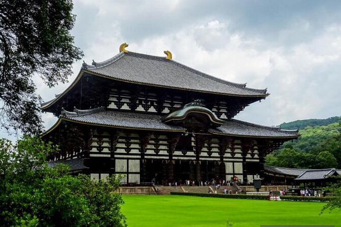 Private Tour Kyoto-Nara w/Hotel Pick Up & Drop off from Kyoto - Nara Park deer feeding in about 30 minutes