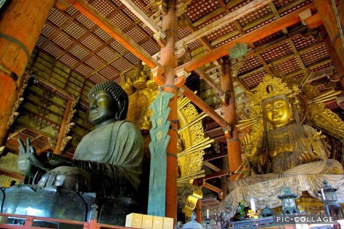 Private Tour Kyoto-Nara w/Hotel Pick Up & Drop off from Kyoto - Kinkaku-ji Golden Pavilion: plan for a 1-hour payoff