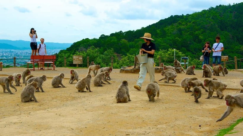 Private Tour to Monkey Park and Arashiyama Highlights - Key things to know before you go