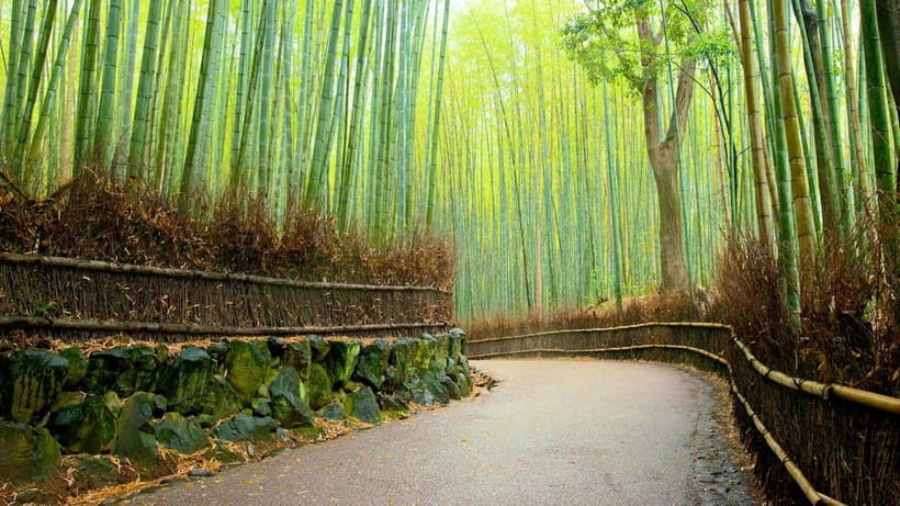 Private Tour to Monkey Park and Arashiyama Highlights - A 3-hour private route that cuts the guesswork