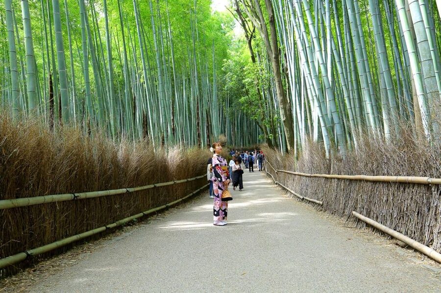 Private Tour to Monkey Park and Arashiyama Highlights - Who this tour fits best, and who should skip it