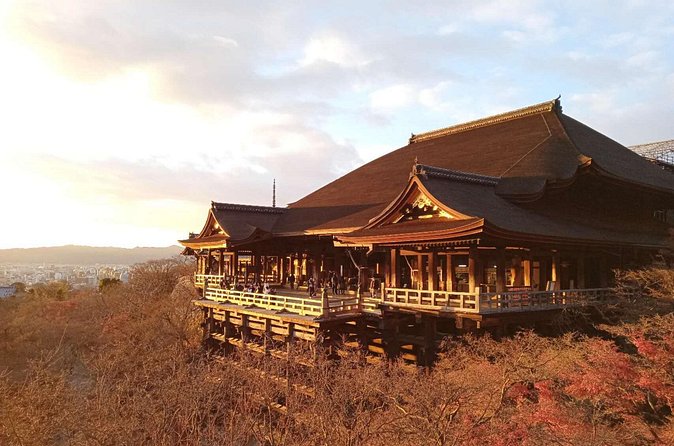 Private Transfer Between Kyoto and Kansai Airport KIX - Price and value: what $227.61 per group really buys you