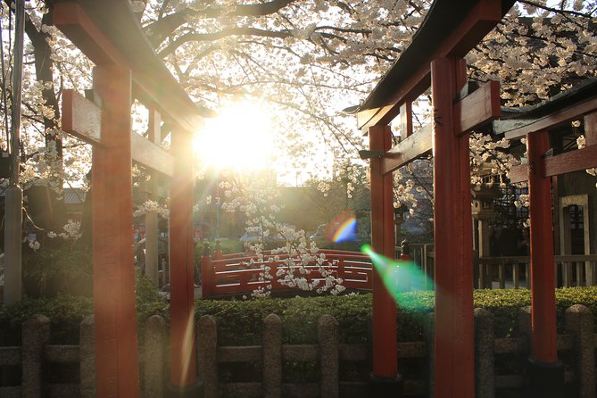 Private & Unique Kyoto Cherry Blossom "Sakura" Experience - The hanami picnic setup, from food to a place to actually relax