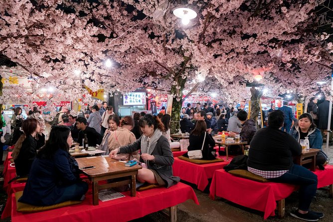 Private & Unique Kyoto Cherry Blossom "Sakura" Experience - Evening yoza-kura, weeping cherries under light