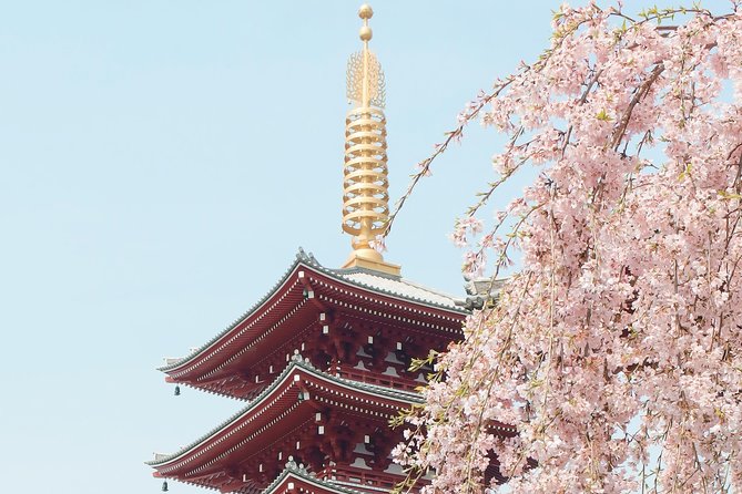 Private & Unique Kyoto Cherry Blossom "Sakura" Experience - Price and value at $290.79 per person