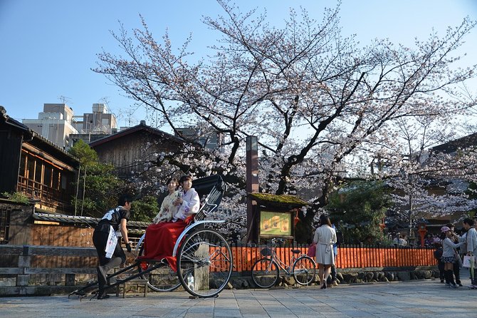 Private & Unique Kyoto Cherry Blossom "Sakura" Experience - Daimaru depachika and the sakura-bento planning that actually saves time