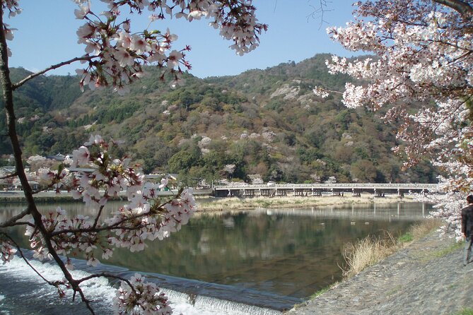 Private Walking Tour in Bamboo Forest & Hidden Spots in Arashiyama - Is $85.87 for this 4-hour Sagano walk good value?