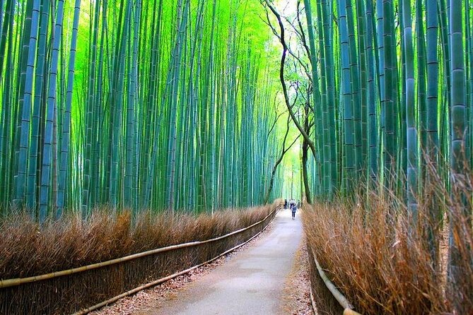 Private Walking Tour in Bamboo Forest & Hidden Spots in Arashiyama - Tenryu-ji Zen garden: calm after the bamboo surge