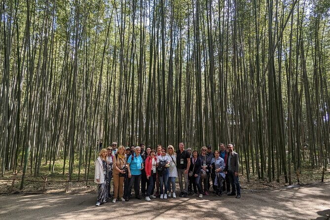 Private Walking Tour in the Arashiyama Bamboo Forest with Guide - Arashiyama Park and the Kameyama area viewpoint