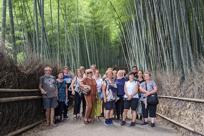 Private Walking Tour in the Arashiyama Bamboo Forest with Guide - Arashiyama shopping street, plus translation or shopping help