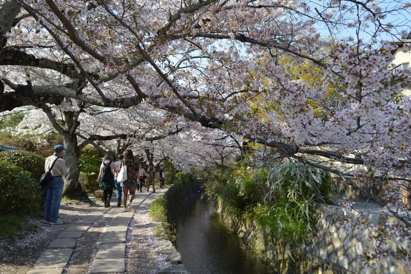Sacred Pathways: Discover the Philosopher's Path of Kyoto - Philosopher’s Path Walking, Stream Sounds, and Morning-Quiet Vibes