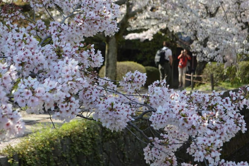 Sacred Pathways: Discover the Philosopher's Path of Kyoto - Nanzenji’s Aqueduct: When Kyoto Gets Big, Stone-Cool, and Architectural