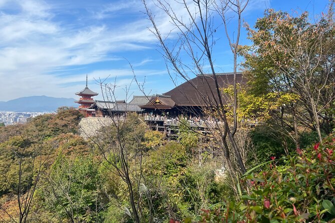 Sacred Treasure Fushimi Inari and Kiyomizu Dera Tour - Stop 2: Kiyomizu-dera, pure water, and the million-view feeling
