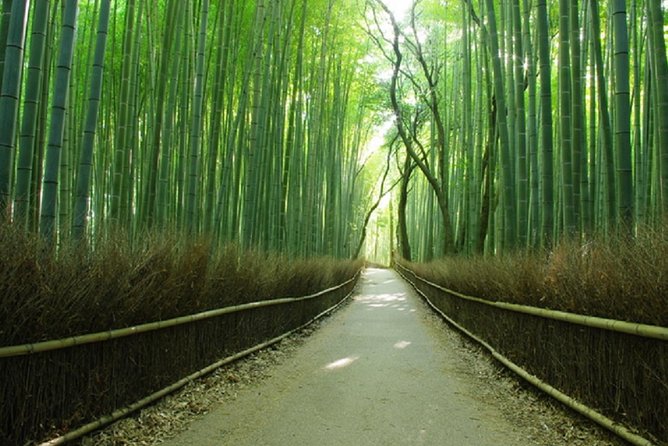 Sagano Romantic Train & Arashiyama, Kiyomizudera, Fushimi Inari Taisha Day Tour - Why Kyoto From Osaka Feels So Much Easier With a Guided Loop