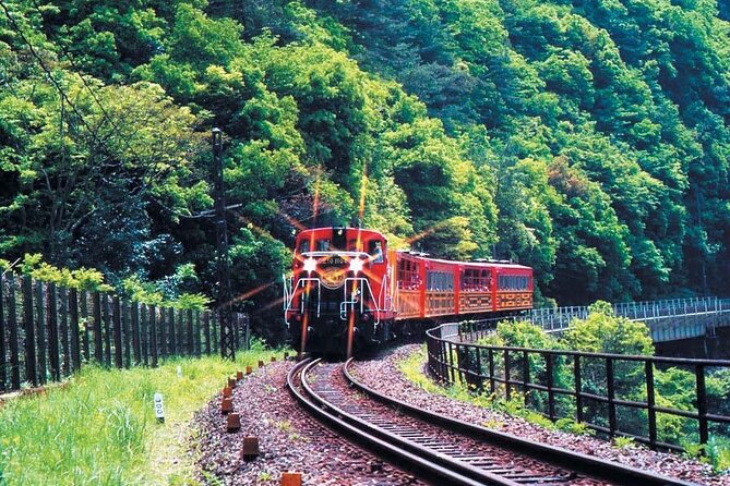 Sagano Romantic Train & Arashiyama, Kiyomizudera, Fushimi Inari Taisha Day Tour - Bus, Wi-Fi, and Timing That Keeps the Day Moving