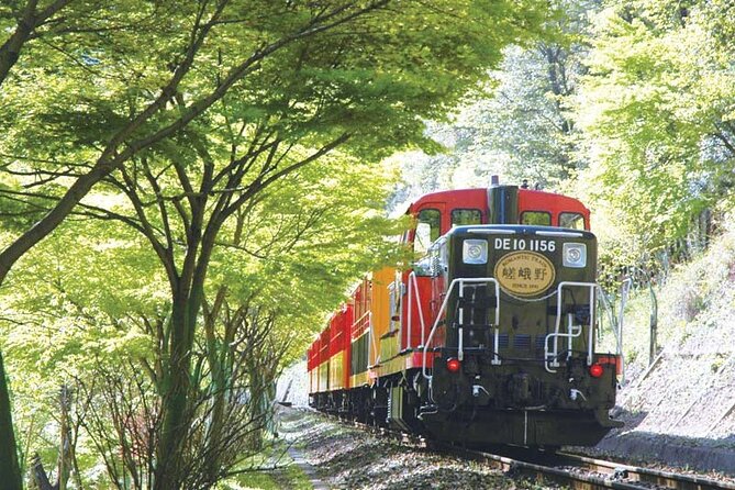 Sagano Romantic Train & Arashiyama, Kiyomizudera, Fushimi Inari Taisha Day Tour - Price and Logistics: Is $82.78 a Fair Deal?