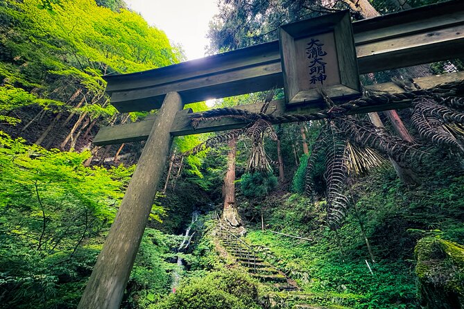 Scenic Green Tea Fields of Hidden Kyoto & Local Tea Exp (Private) - Into Kyoto’s Hidden Tea Country, Without the Transit Headaches